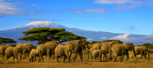 Kenia