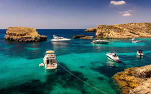 malta-verde